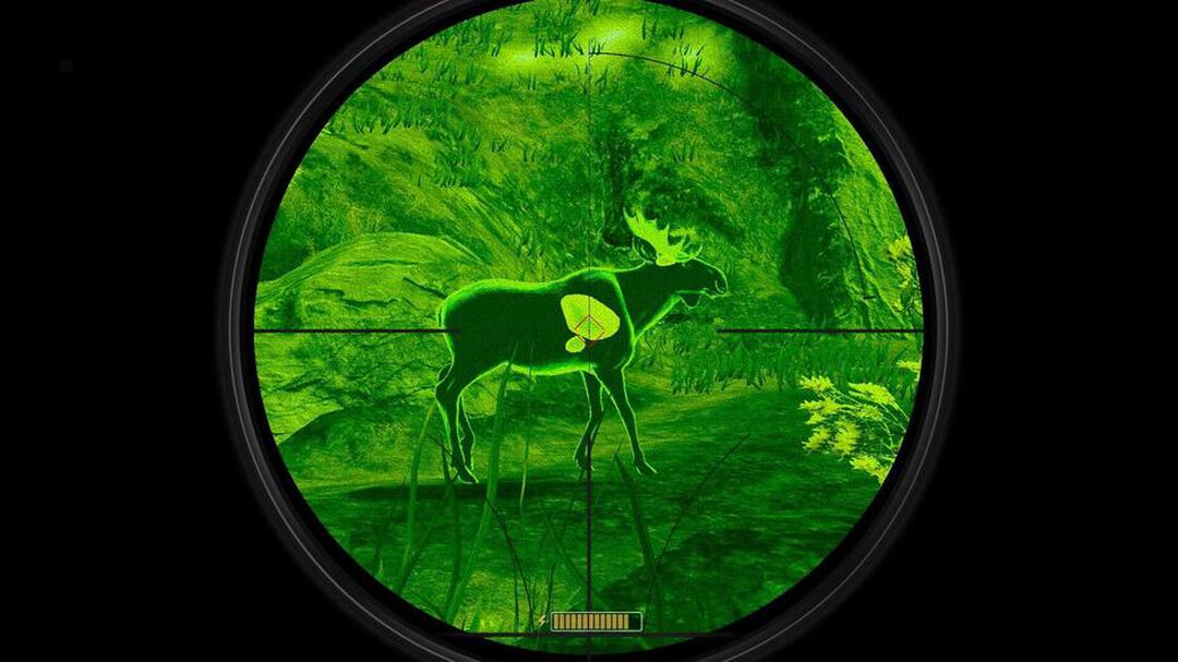 Deer Hunter Reloaded | Occasion