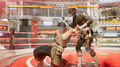 Dead Or Alive 6 | Occasion thumb 11