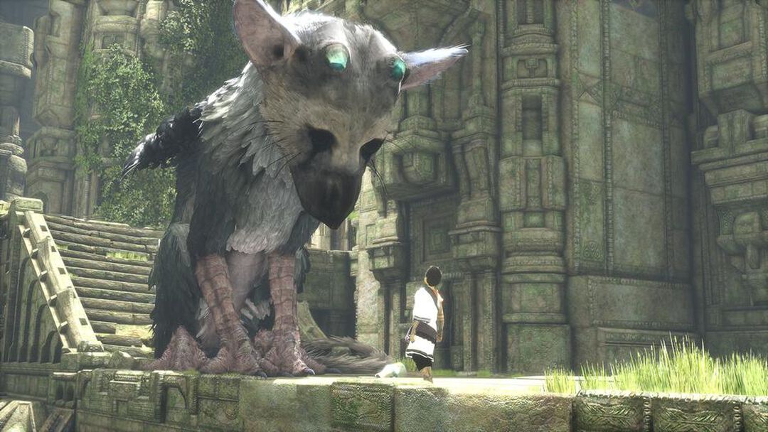 The Last Guardian | Occasion