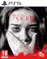 Maid Of Sker - Occasion