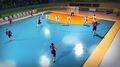 Handball 21 | Occasion thumb 2