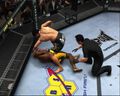 Ufc 2010 | Occasion thumb 10