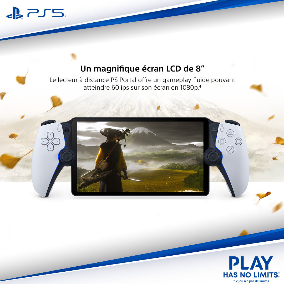 Playstation Portal | Occasion