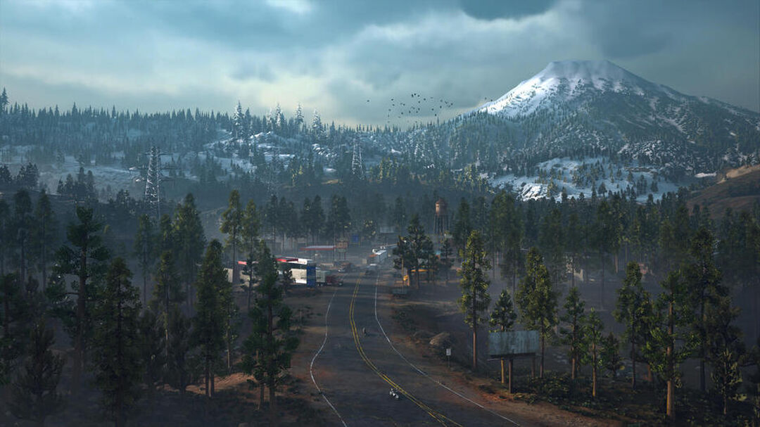Days Gone Edition Collector