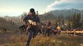 Days Gone | Occasion thumb 26