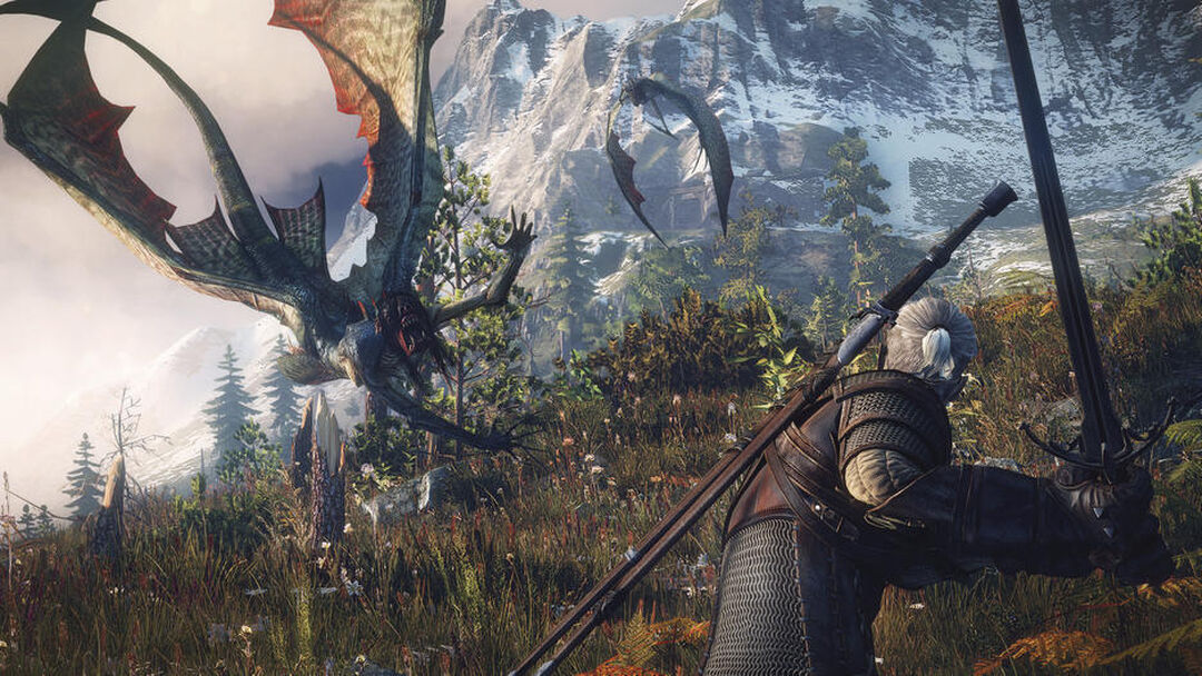 The Witcher 3 Wild Hunt Goty | Occasion