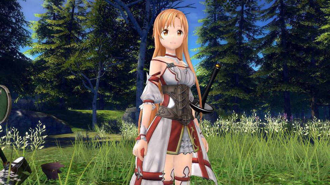 Sword Art Online Hollow Realization | Occasion