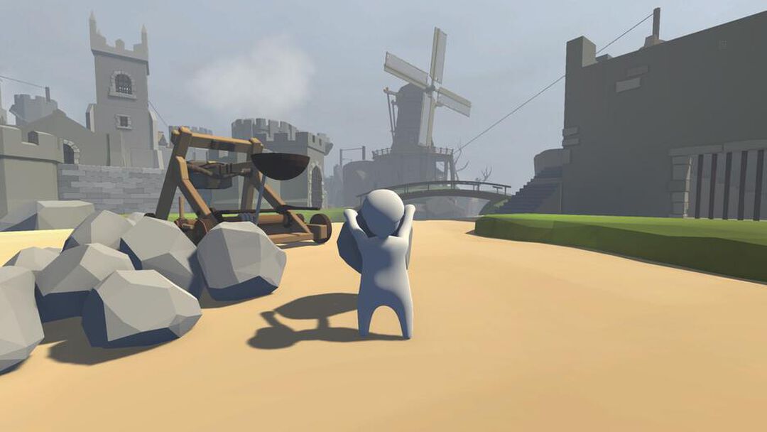 Human Fall Flat Anniversary Edition | Occasion