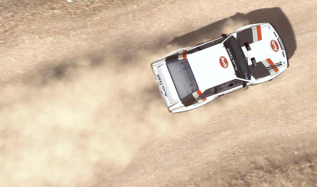 Dirt Rally | Occasion