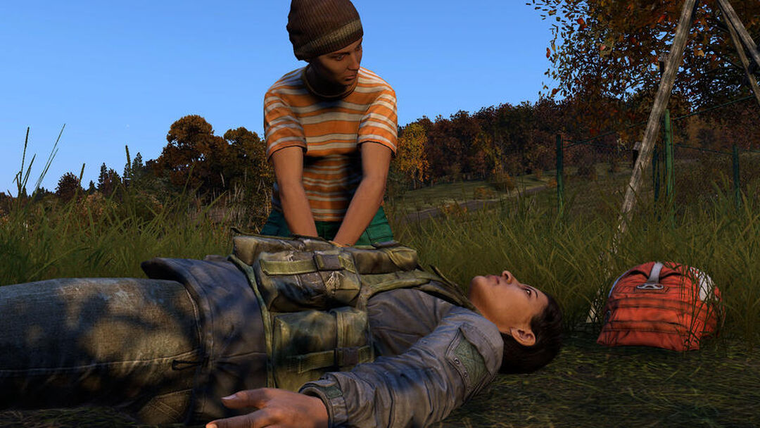 Dayz | Occasion