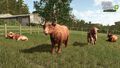 Farming Simulator 25 | Occasion thumb 4