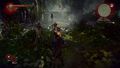 The Witcher 2 Enhanced Edition | Occasion thumb 10
