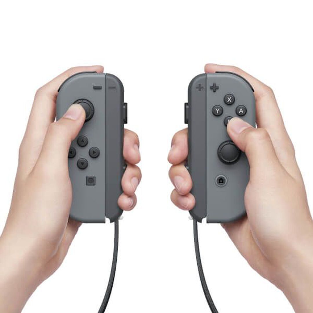 Paire De Manettes Joy-con Gauche & Droite Grise | Occasion