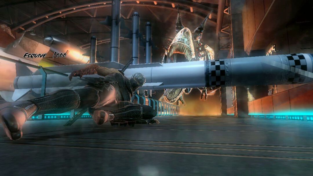 Ninja Gaiden 3 Razor's Edge | Occasion