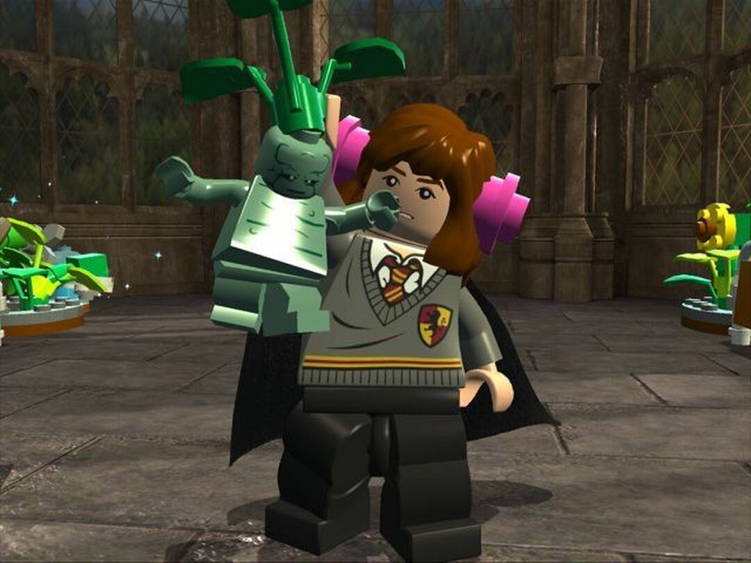 Lego Harry Potter | Occasion