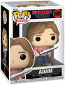 Figurine Funko Pop! N&deg;2025 - Masters Of The Universe - Adam