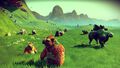 No Man's Sky | Occasion thumb 31