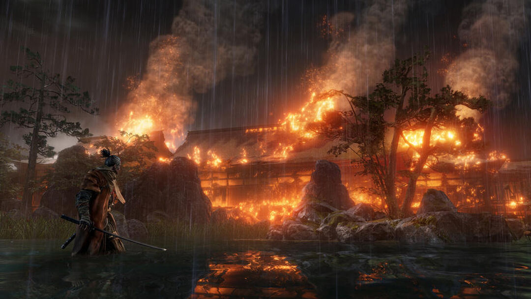 Sekiro Shadows Die Twice | Occasion