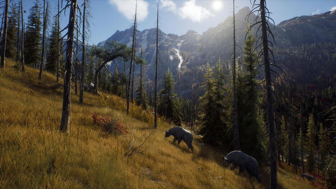 Way Of The Hunter | Occasion