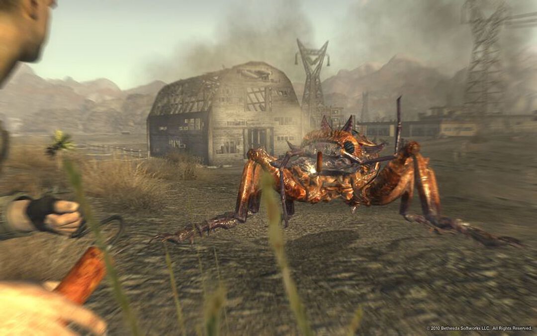 Fallout New Vegas | Occasion