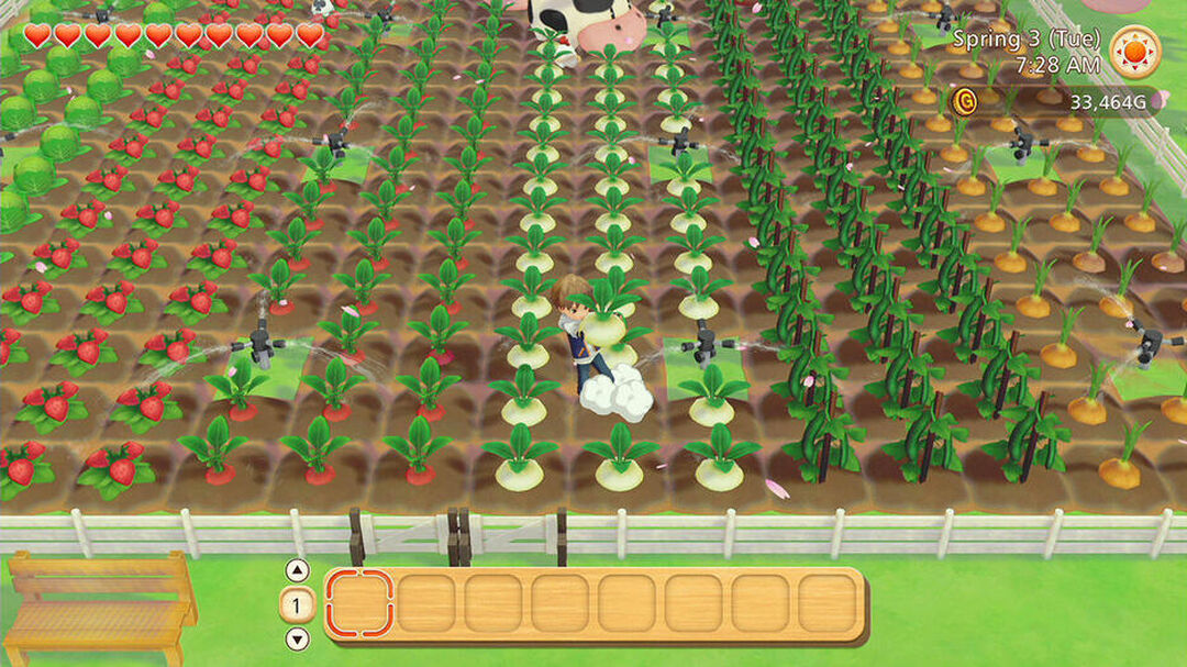 Story Of Seasons Pioneers Of Olive Town | Occasion