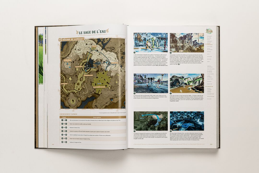 GUIDE ZELDA Tears Of The Kingdom | Version Collector