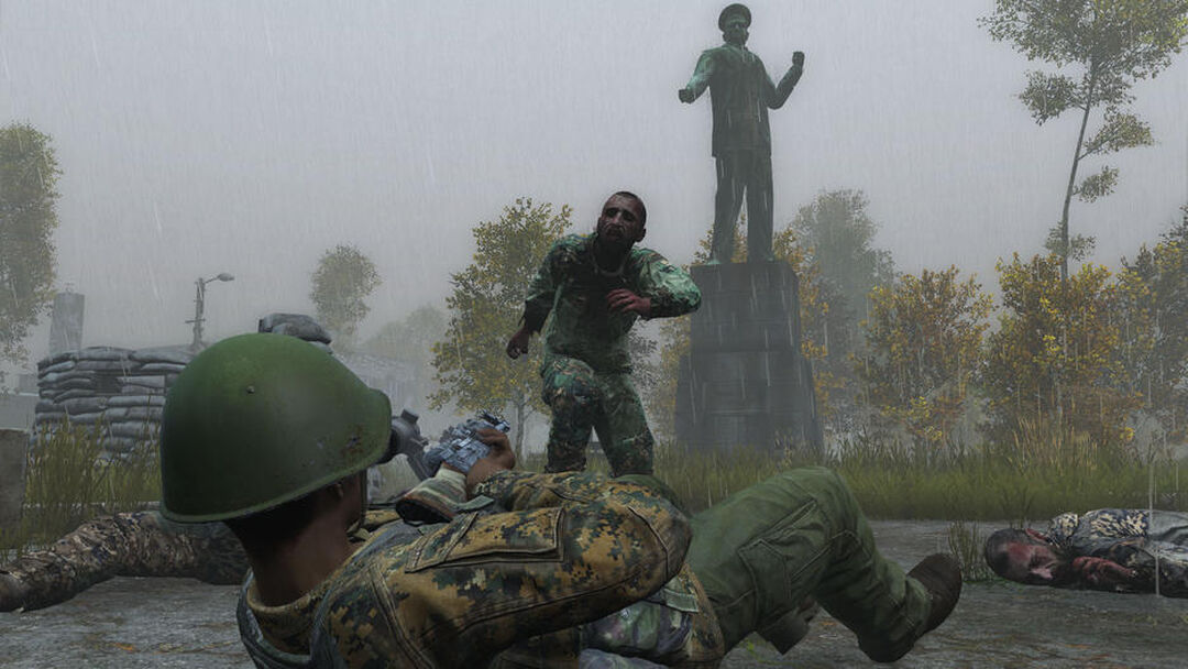 Dayz | Occasion