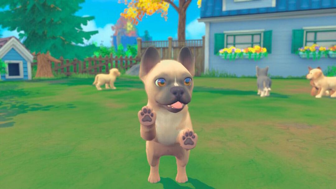 My Universe Pets Edition | Occasion