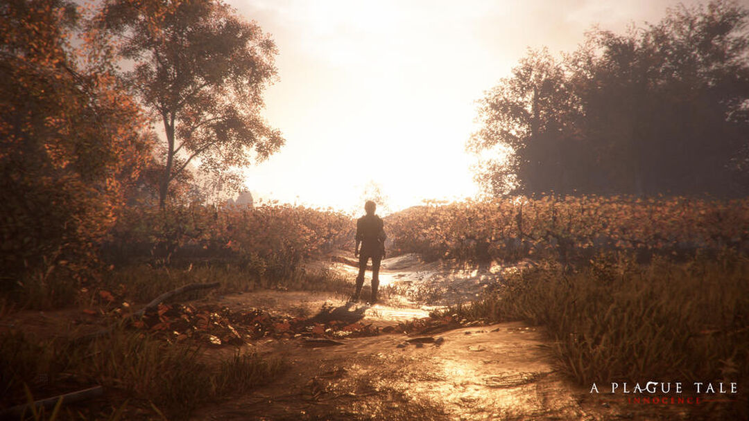 A Plague Tale Innocence | Occasion
