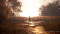 A Plague Tale Innocence | Occasion thumb 15