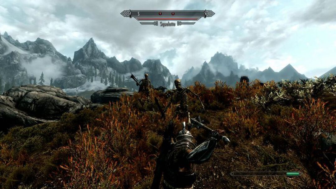 Skyrim The Elder Scrolls V | Occasion
