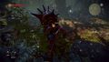 The Witcher 2 Enhanced Edition | Occasion thumb 13