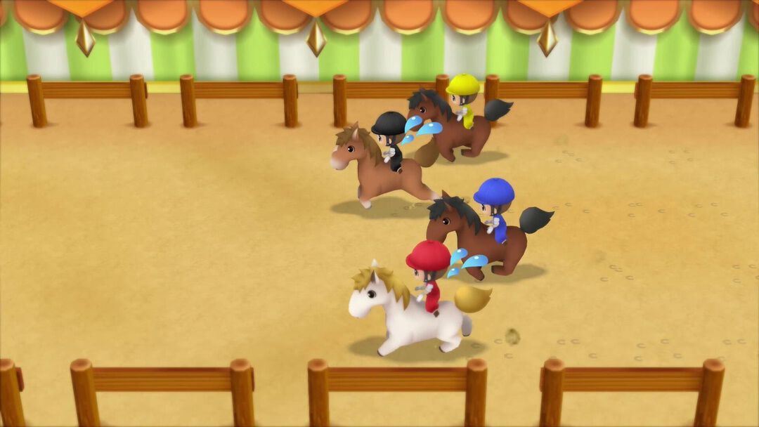 Story Of Seasons Friends Of Mineral Town | Occasion