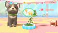 Toutous Et Chatons Mon Petit Salon | Occasion thumb 4