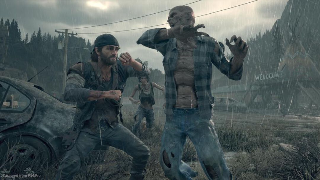 Days Gone | Occasion