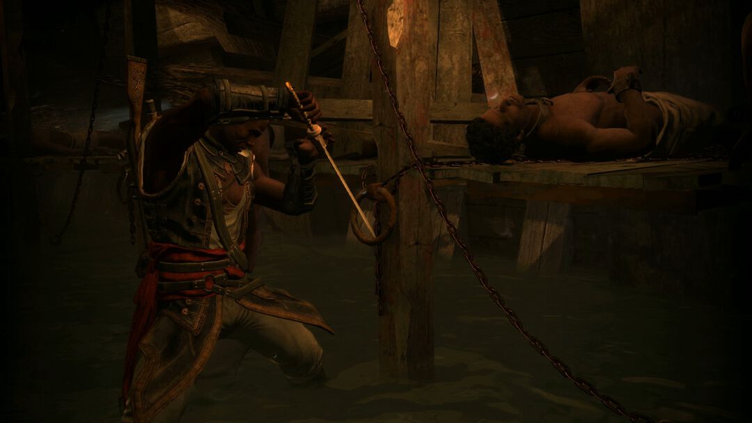 Assassin's Creed 4 Black Flag | Occasion