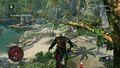 Assassin's Creed 4 Black Flag | Occasion thumb 15