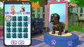 Little Friends Puppy Island | Occasion thumb 6