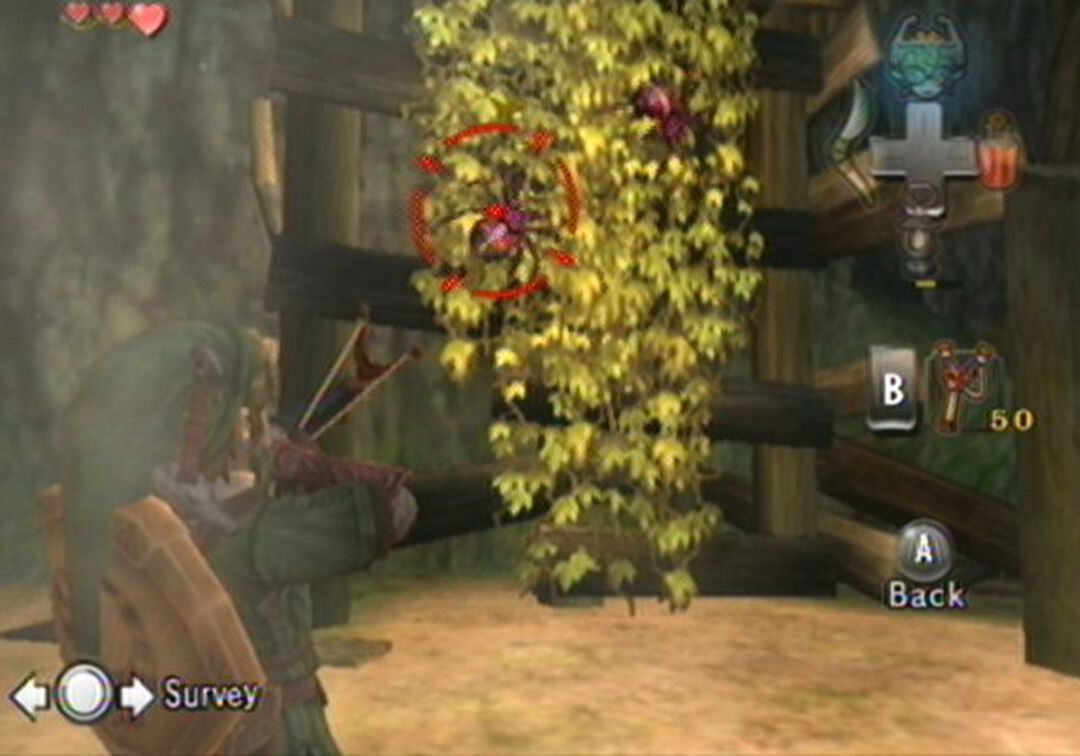 The Legend Of Zelda Twilight Princess | Occasion