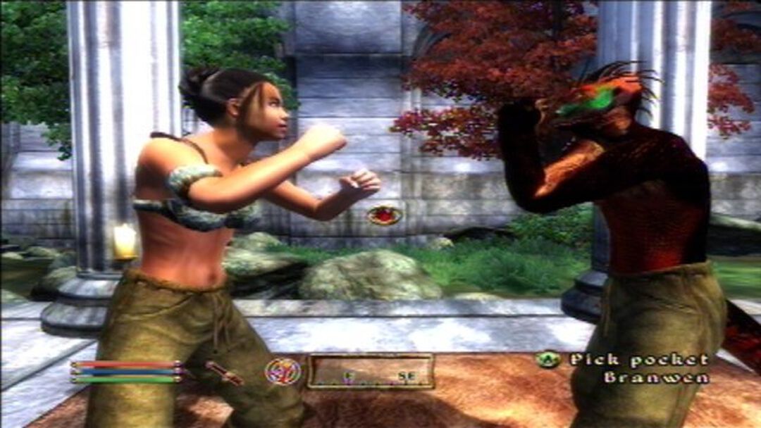 The Elder Scroll IV Oblivion | Occasion