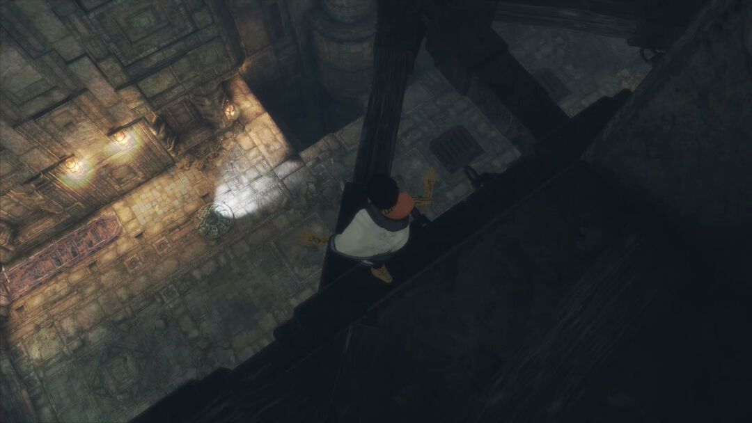 The Last Guardian | Occasion