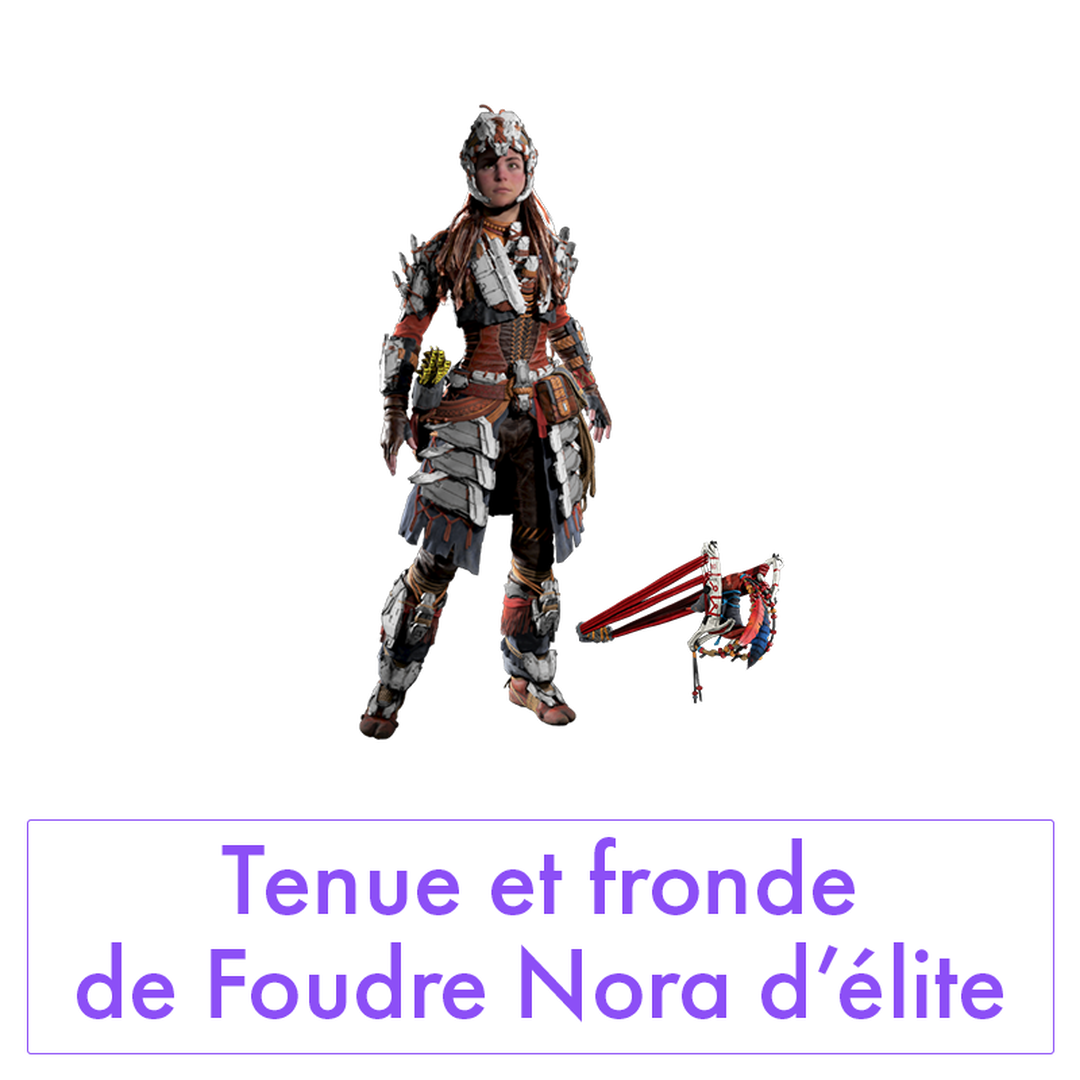 Horizon Forbidden West Edition Collector