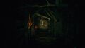 The Sinking Forest