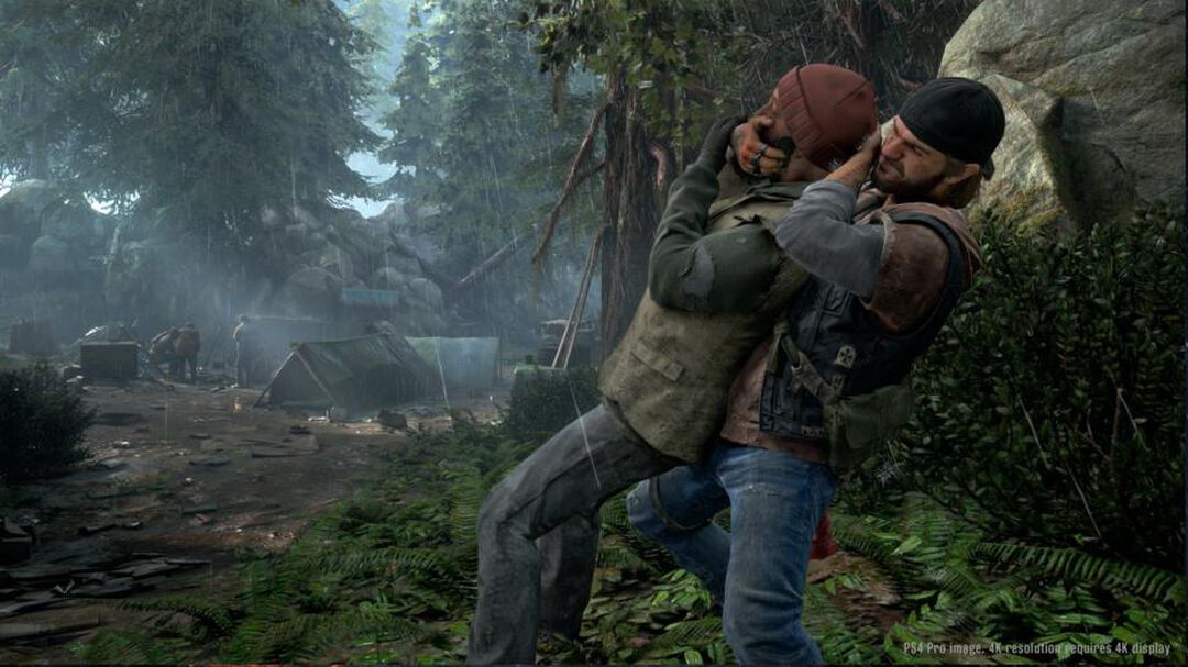 Days Gone | Occasion