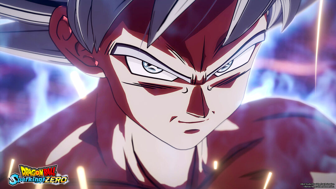 Dragon Ball Sparking! Zero | Occasion