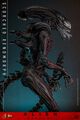 Figurine Hot Toys | Alien | Alien : Romulus Figurine 1/6 Scorched Xenomorph 44cm thumb 2