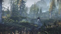 The Witcher 3 Wild Hunt