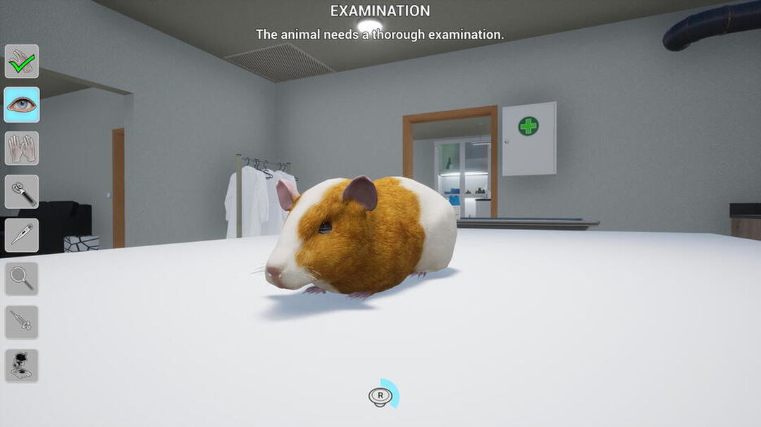 Ma Vie Veterinaire | Occasion