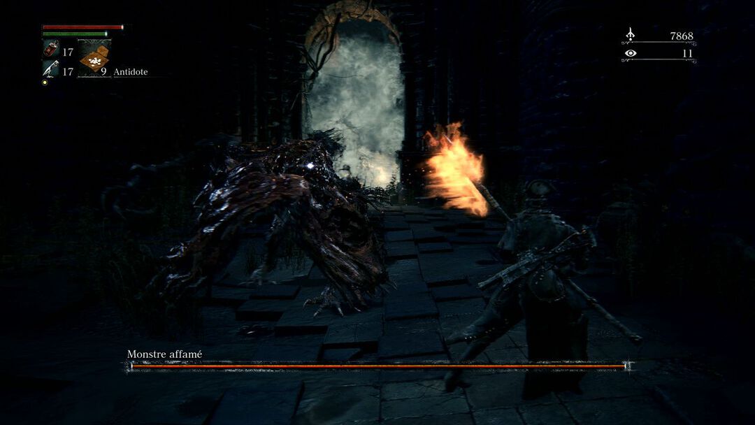 Bloodborne | Occasion