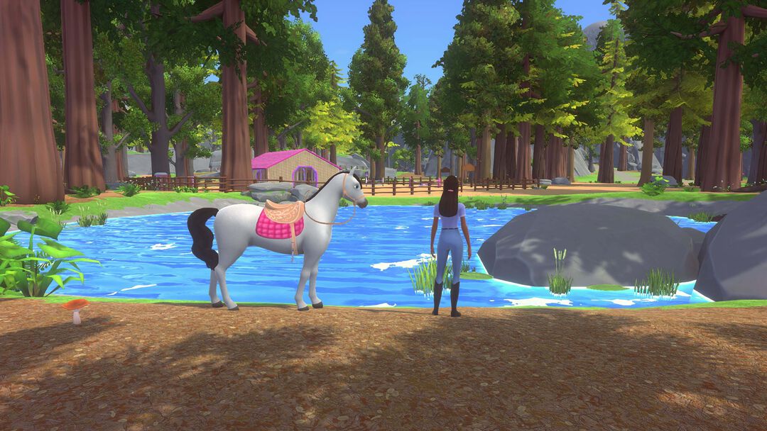 Barbie : Horse Trails | Occasion